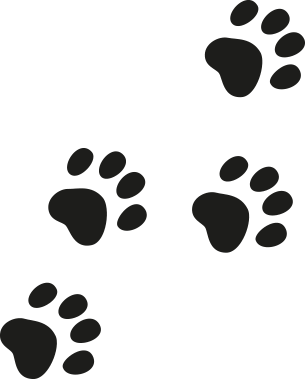 Fußabdrücke einer Katze